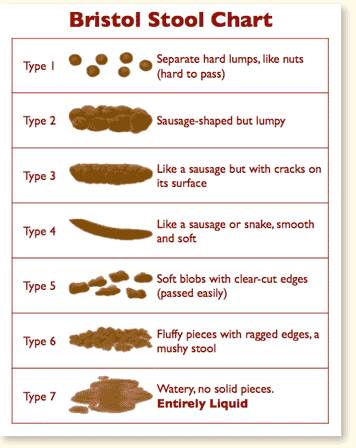 bristol stool chart seniors