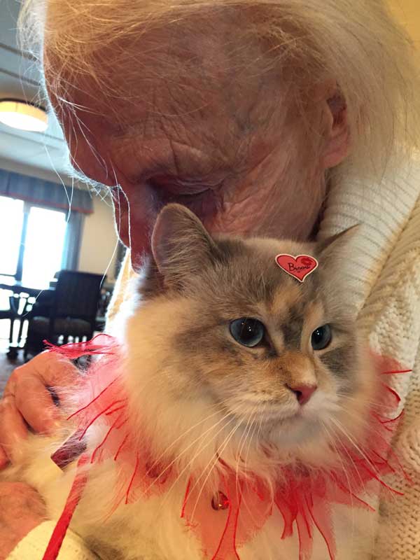 elderly with a cat, zootherapy