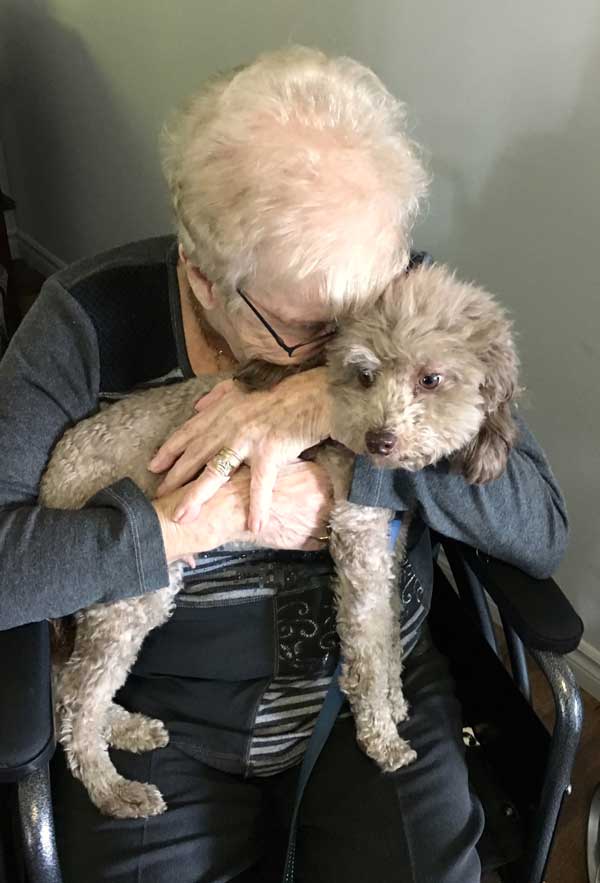 elderly with a dog, zootherapy